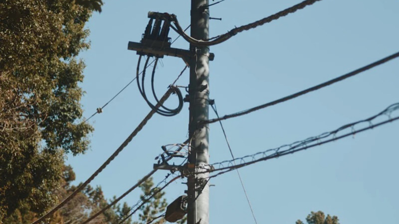 電柱や木々