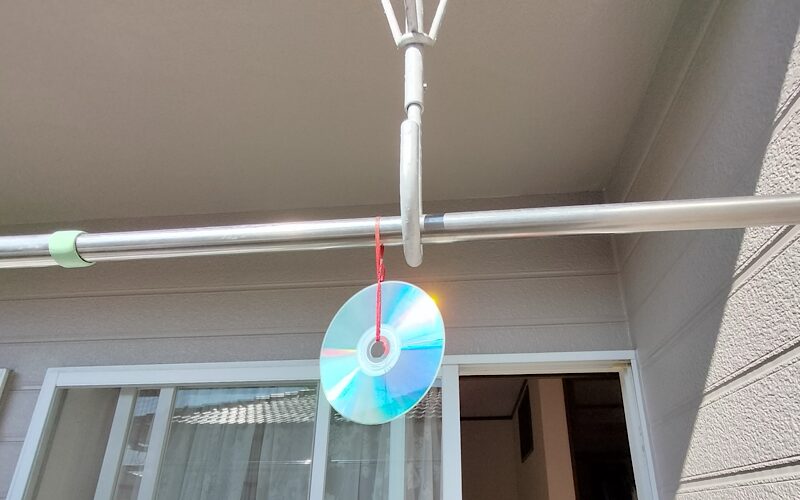 車の鳥のフン対策グッズは100均で揃う？効果的なのは【鳥よけグッズ】